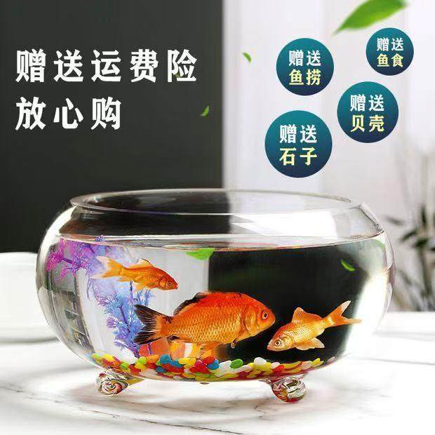 特价创意透明玻璃三爪圆形鱼缸桌面客厅乌龟缸大号加厚金鱼缸招财,淘宝优惠券,粉丝福利购,淘宝优惠卷