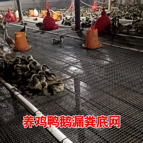 热镀锌钢丝网加粗白钢编织网格轧花网筛网围栏网羊床网养殖网定制 - 图2