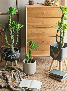 仿真绿植仙人柱霸王鞭仙人掌盆栽巴西龙骨树热带沙漠造景家居摆件