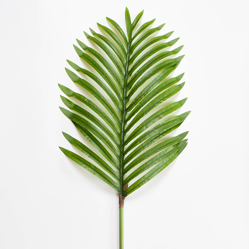 仿真铁树叶假叶子绿植插花植物墙装饰草散尾叶针葵叶舞蹈道具叶子 - 图3