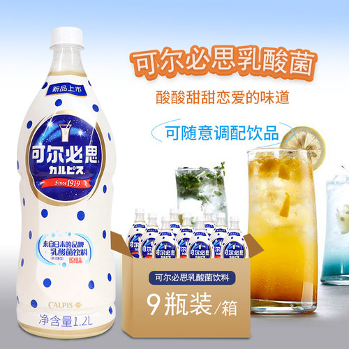 可尔必思乳酸菌饮料日式发酵型原味浓缩汁1.2L*9大瓶装包邮 - 图2