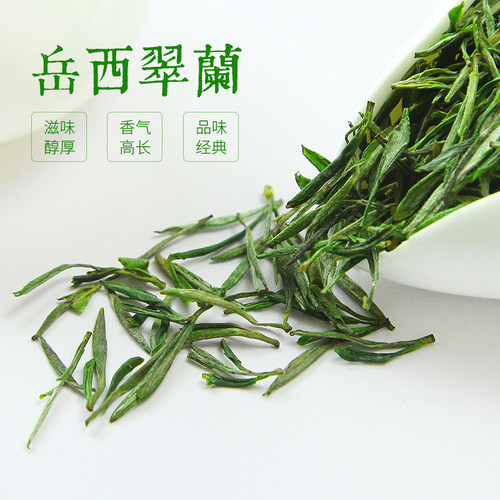 绿月2026新茶岳西翠兰500g袋装高山云雾绿茶炒青条形茶叶耐泡包邮 - 图0