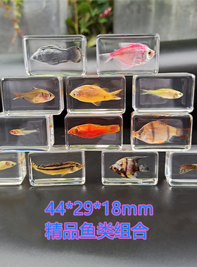 热带太阳鱼螃蟹树脂包邮标本