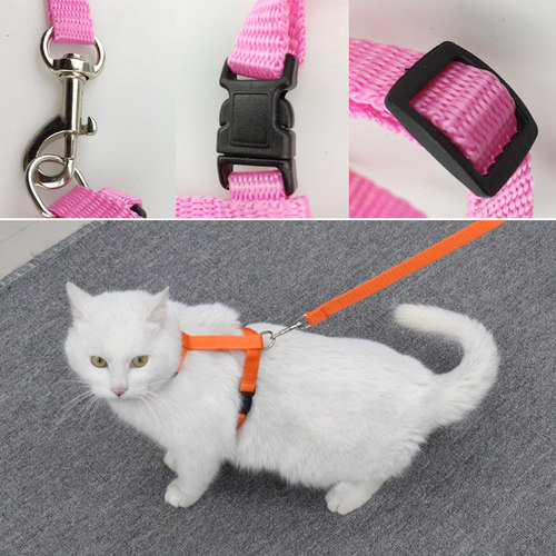遛猫绳猫咪牵引绳防挣脱溜猫绳胸背带猫专用小狗绳猫项圈猫咪用品 - 图0