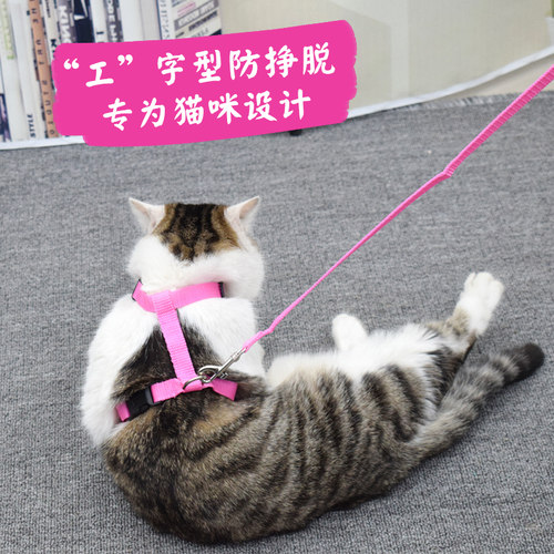 遛猫绳猫咪牵引绳防挣脱溜猫绳胸背带猫专用小狗绳猫项圈猫咪用品 - 图3