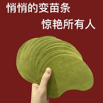 (Nanjing Tongrentang products) Each major blogger planted grass to buy 3 to buy 5 2 send 5 men and women universal