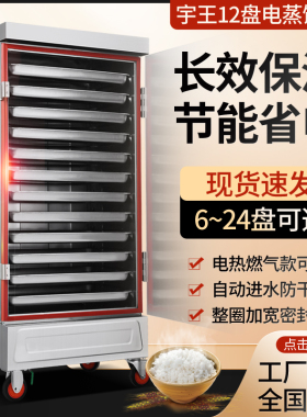 宇王蒸饭车蒸柜电蒸箱电蒸车12盘