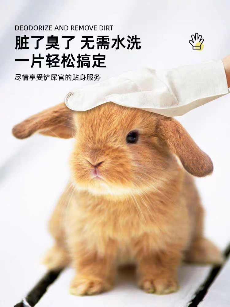 宠物兔免洗手套湿巾 兔子干洗龙猫豚鼠洗澡清洁除臭一次性纸巾6片,淘宝优惠券,粉丝福利购,淘宝优惠卷