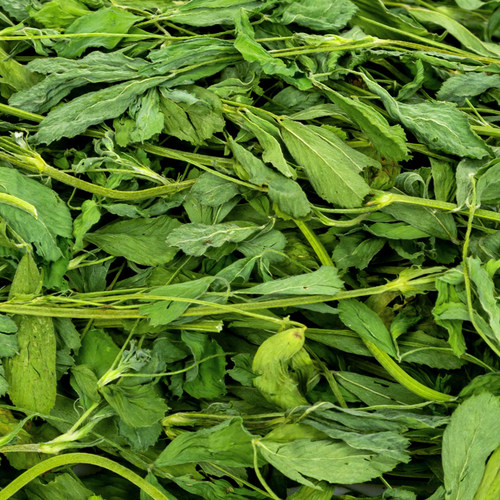 爱尚它烘干苜蓿草幼兔主粮饲料豚鼠龙猫兔子荷兰猪营养牧干草750g - 图0