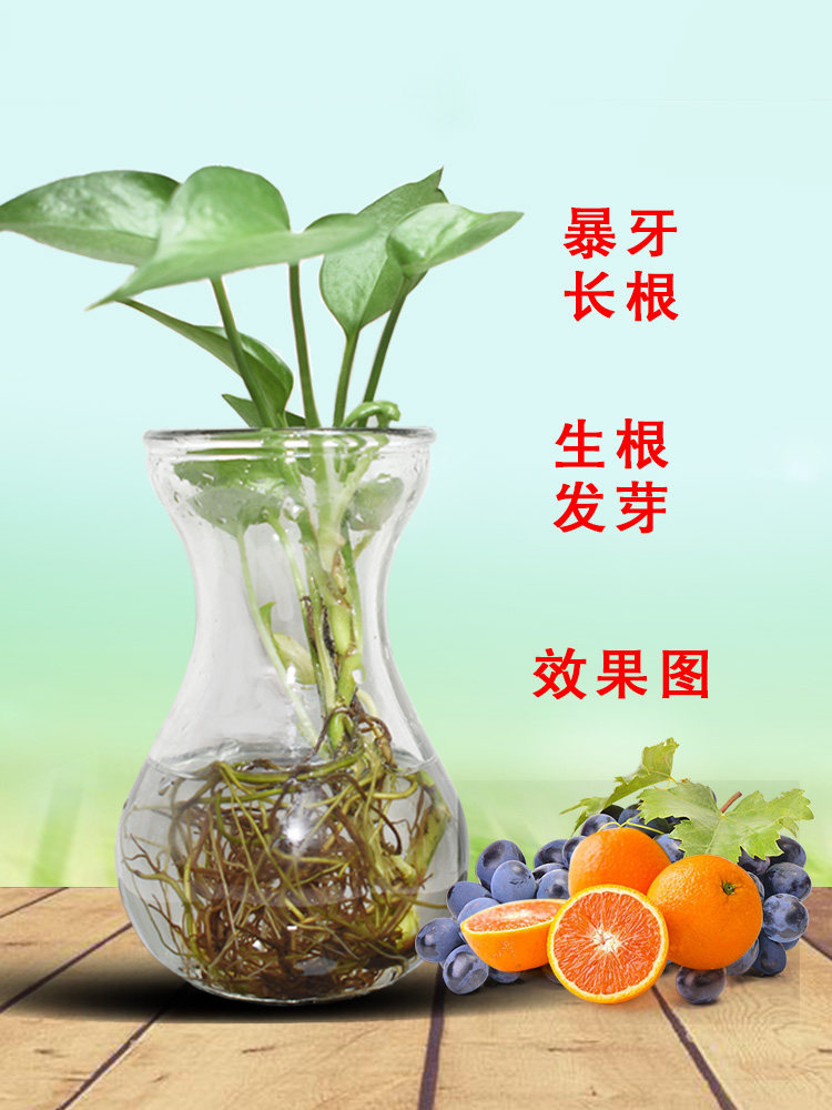 细胞分裂素多肉兰花蟹爪兰百合暴芽分化测芽开花膨大剂植物组培剂,淘宝优惠券,粉丝福利购,淘宝优惠卷