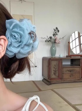花朵抓夹女高级感2025新款发夹