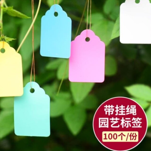 花卉标签吊牌防水可手写户外绿植名字小挂牌仓库塑料吊签牌家用