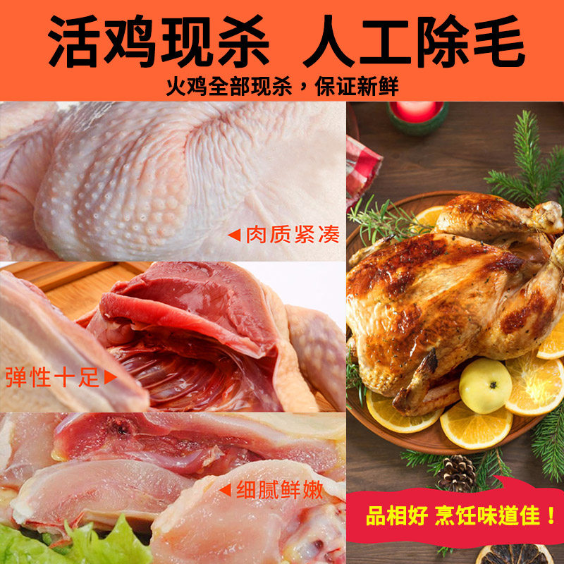 新鲜火鸡肉现杀整鸡全鸡散养农家火鸡整只5-30斤感恩圣诞节烤火鸡,淘宝优惠券,粉丝福利购,淘宝优惠卷