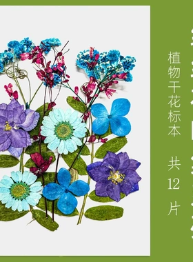 水扇子植物干花压花灯手工diy树叶滴胶手机壳填充押花团扇书签
