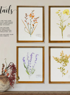 原创芊蒂植物标本装饰画