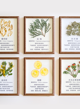 精油植物标本实木相框复古装饰画