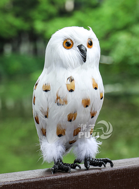 【仿真猫头鹰】羽毛鸟雪鸮摆件哈利波特cos万圣节摄影道具工艺品