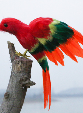 仿真展翅小鸟摆件真羽毛模型