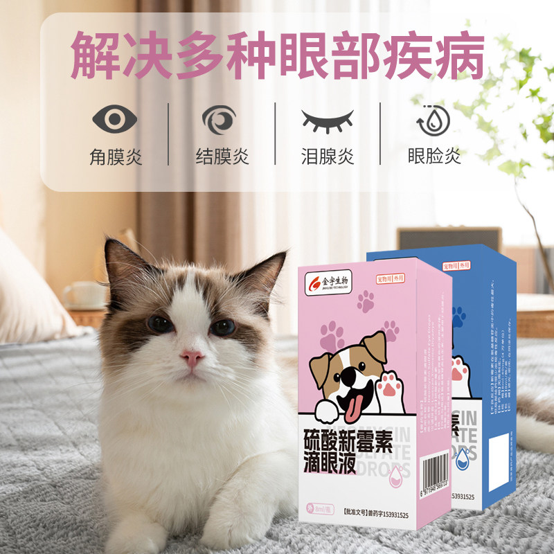 硫酸新霉素滴眼液猫咪眼药水消炎狗狗眼药水宠物用眼睛发炎流泪痕,淘宝优惠券,粉丝福利购,淘宝优惠卷