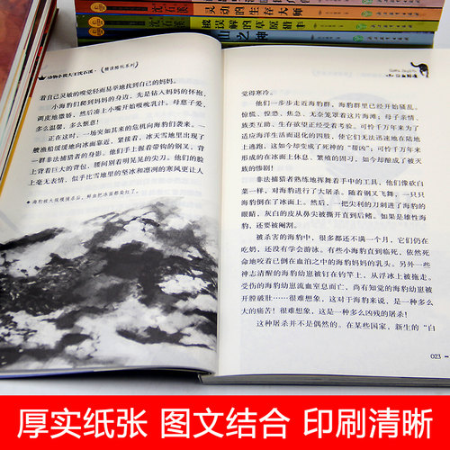 沈石溪动物小说全集正版全套12册 沈石溪的书全系列 小学生初中生四五六七年级课外阅读书籍儿童故事6-12周岁必读读物狼王梦畅销书 - 图2