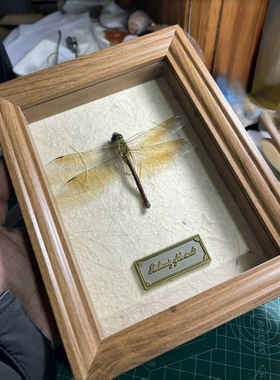 欧式黑色立体中空相框2cm深甲虫蝴蝶蜻蜓标本DIY自装裱展示盒空框