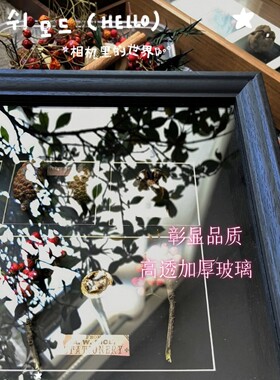 中空4cm松果相框树叶标本画框