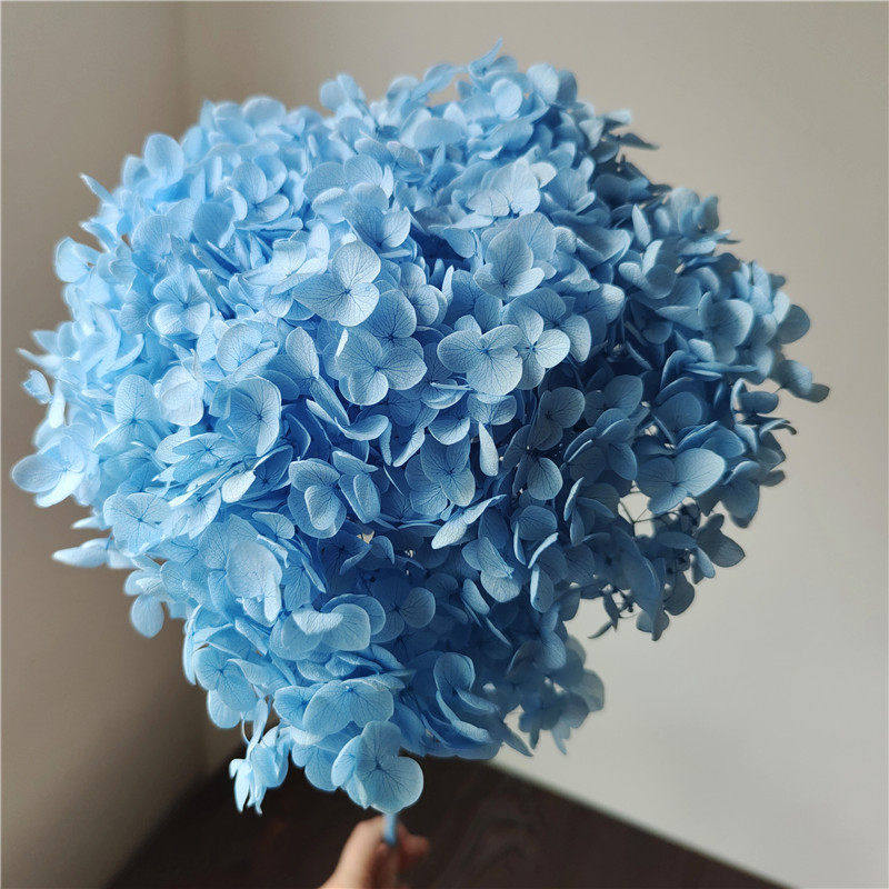 永生花绣球花束整支单支安娜小叶家居插花装饰求婚情人节紫阳花,淘宝优惠券,粉丝福利购,淘宝优惠卷