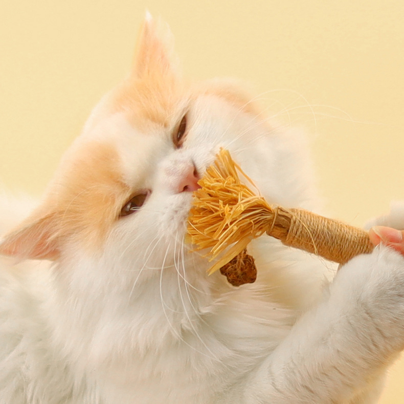 木天蓼棒猫玩具 拉菲草麻绳虫瘿果猫咪玩具 宠物玩具 - 图1