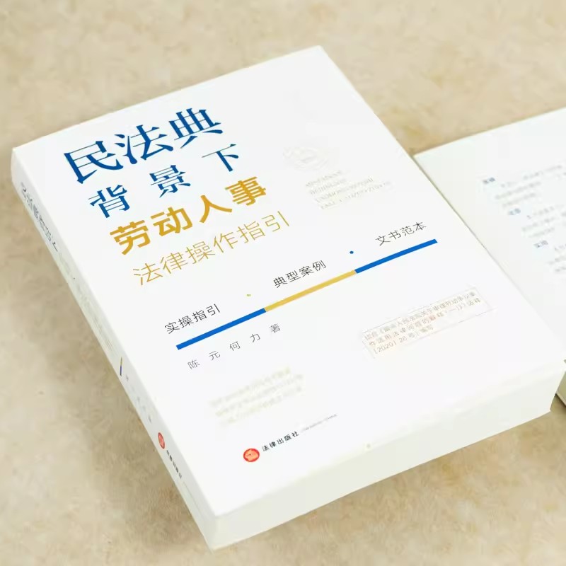 正版民法典背景下劳动人事法律操作指引 法律出版社 人力资源管理文书范本劳动争议处理技巧典型案例 劳动合同员工手册范本 - 图2