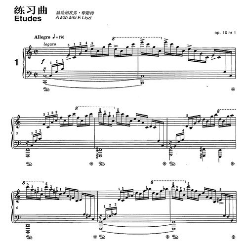 正版肖邦钢琴作品全集2 肖邦练习曲 波兰国家版 上海音乐出版社 肖邦钢琴基础练习曲教材教程书籍 - 图2