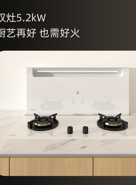 Elica意大利家用厨房电器双灶灶台煤气天然气燃气灶煤气灶嵌入式