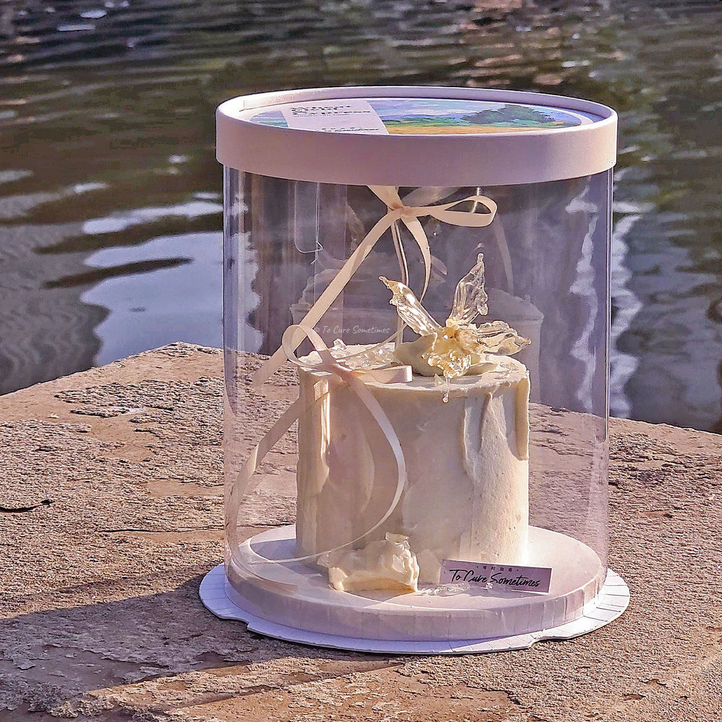 简约风奶色蝴蝶蛋糕装饰幻彩蝴蝶蜡烛摆件丝带插件甜品蛋糕打包盒,淘宝优惠券,粉丝福利购,淘宝优惠卷