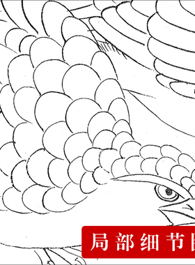 国画底稿临摹练习线描实物打印