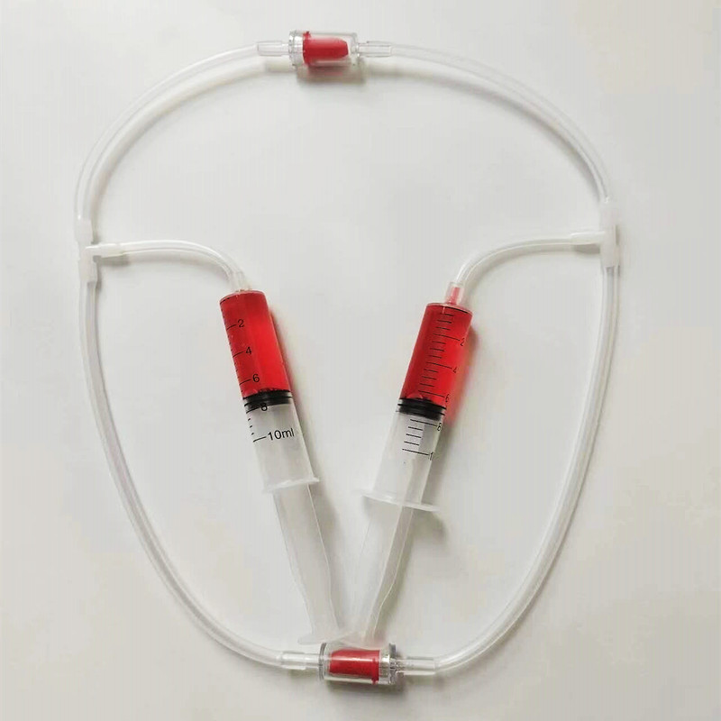 初中生物医学人体血液循环模型科学实验器材手工玩教具科技小制作 - 图1