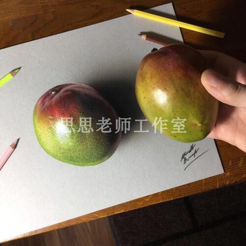 S020 静物素描彩铅电子图1153张 手绘临摹学习素材 持续更新 - 图3