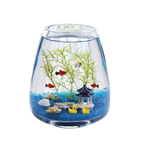 oval fish tank