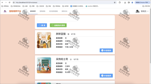 宠物领养救助平台｜Java｜SpringBoot｜vue｜前后端分离万字文档 - 图1