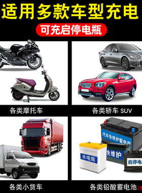 适配汽车电瓶充电器12v24v伏摩托