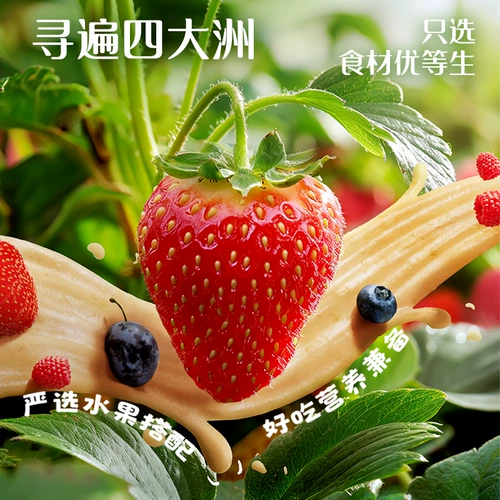 Британские органические фруктовые пюре детские закуски без добавления соли Британский фруктовый пюре для флагманского детского пищевого пюре из сливы