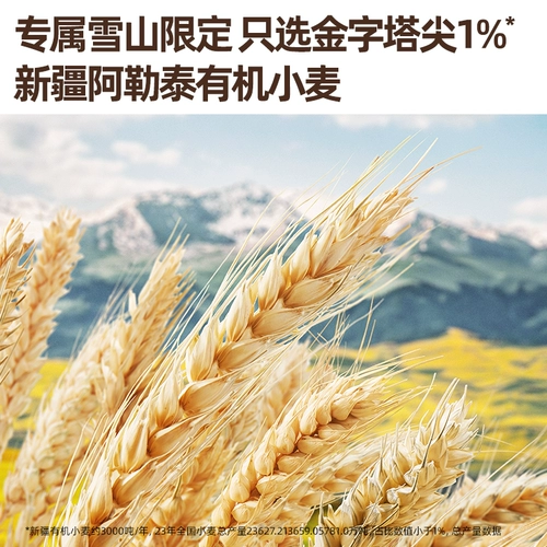 Британская органическая лапша детская дополнительная еда детская питание лапша детская бабочка лапша британская лапша флагмана раздавленная лапша