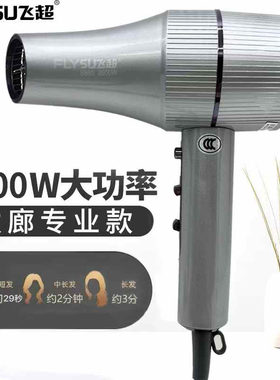 飞超8865吹风机大功率发型师专用负离子蓝光护发不伤发廊电吹风筒