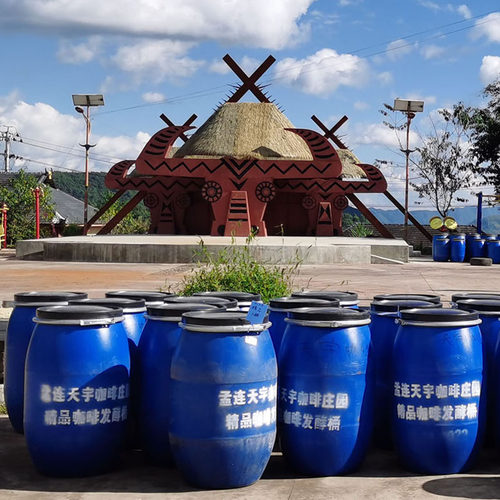 普洱孟连天宇庄园红酒咖啡 叶萍佤酿日晒 云南懒猴精品咖啡挂耳 - 图1