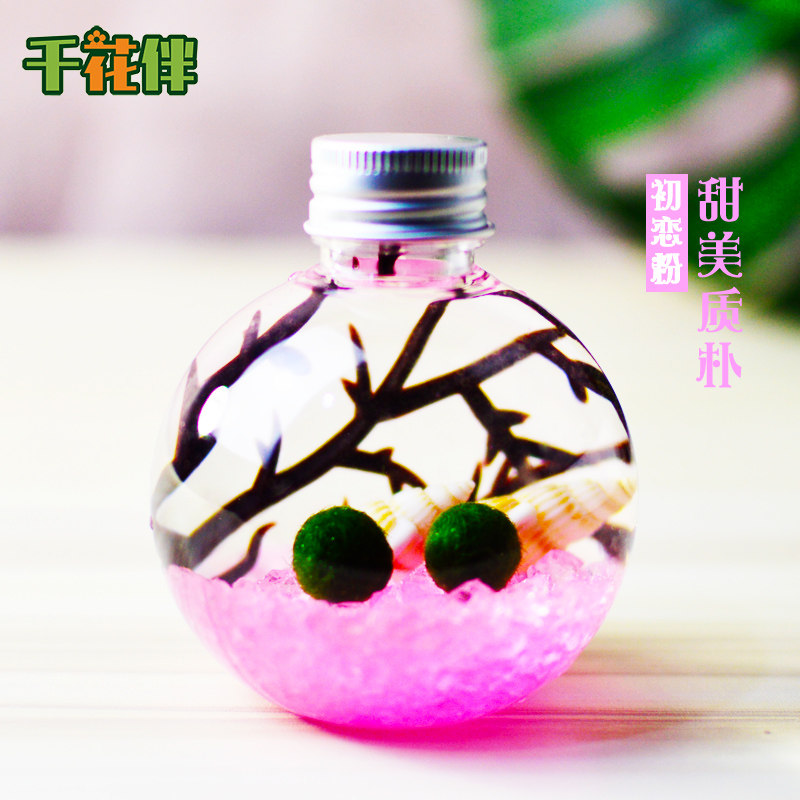 幸福海藻球生态瓶marimo微景观水培植物办公室桌面趣味盆栽小礼物,淘宝优惠券,粉丝福利购,淘宝优惠卷