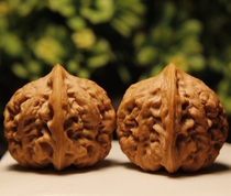 Beijing Wen Playing Walnut Shop -43 Old Tree Wong Songyu Yuanbao Lion Head (Collection Class) B280