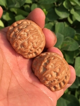 Beijing Wen playing walnut shop -33 boutique war drum lion head (small hand twill) B126