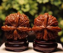 Beijing Wen playing walnut shop -46 to play white lion positive quadrillion head (six-year-old walnut) B160