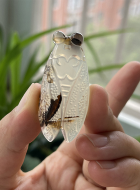 男女玉髓玉蝉吊坠水墨