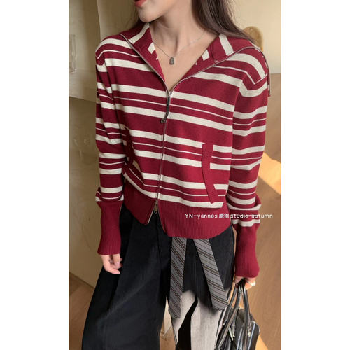 YN 长袖条纹翻领软糯针织衫女拉链开衫外套秋季新款洋气别致上衣 - 图1