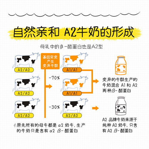 小肚腩澳洲代购 A2 铂金白金系列婴幼儿奶粉3段4段 三段四段 900g - 图1
