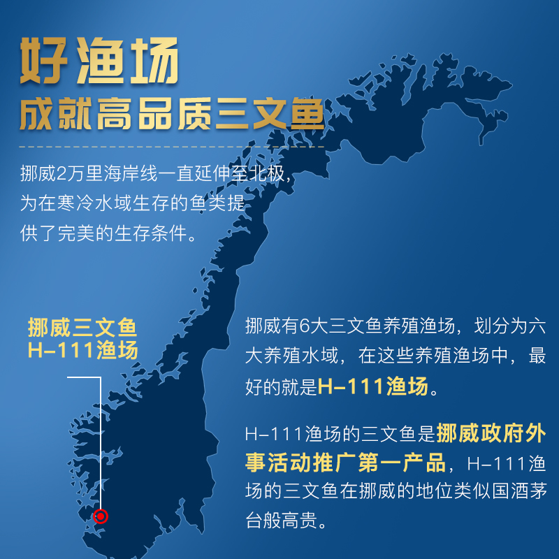 挪威冰鲜三文鱼新鲜h111精选生鱼片 鲜有汇聚三文鱼